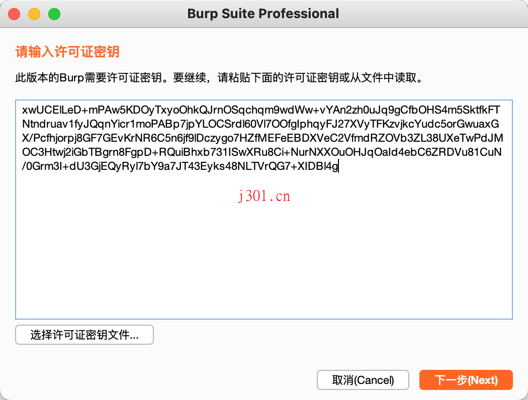 crack_BurpSuite_Pro_11