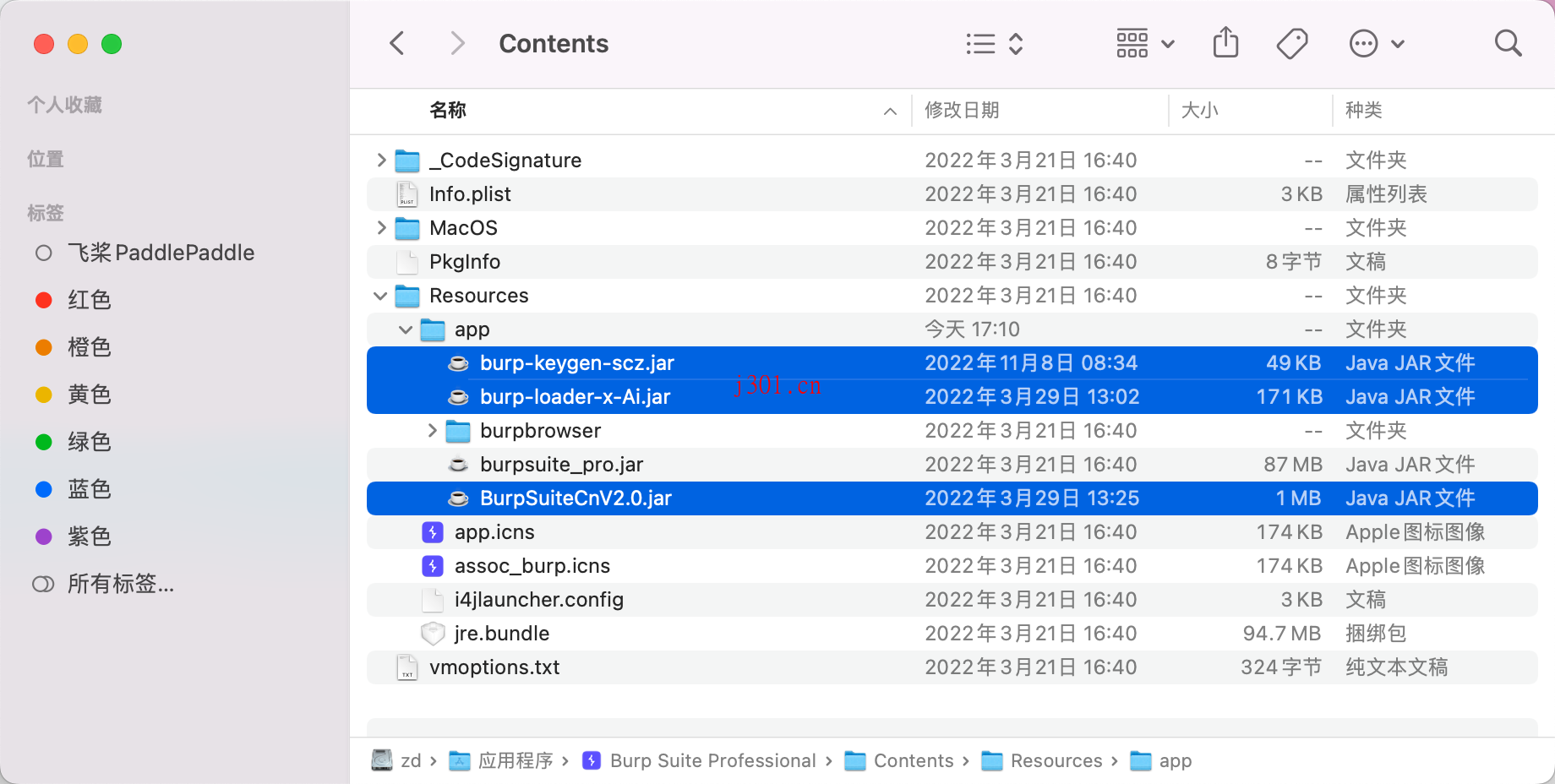 crack_BurpSuite_Pro_4