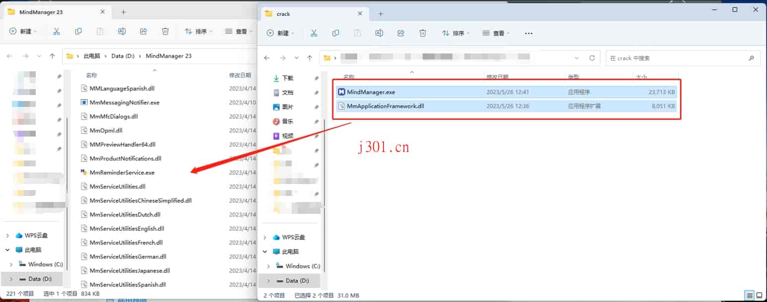 crack_mindManager_5