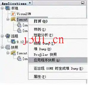 crack_visualVM_VisualVM15