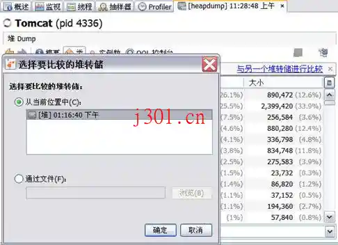 crack_visualVM_VisualVM22