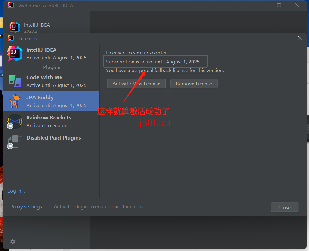dev_editor_jpabuddy_6