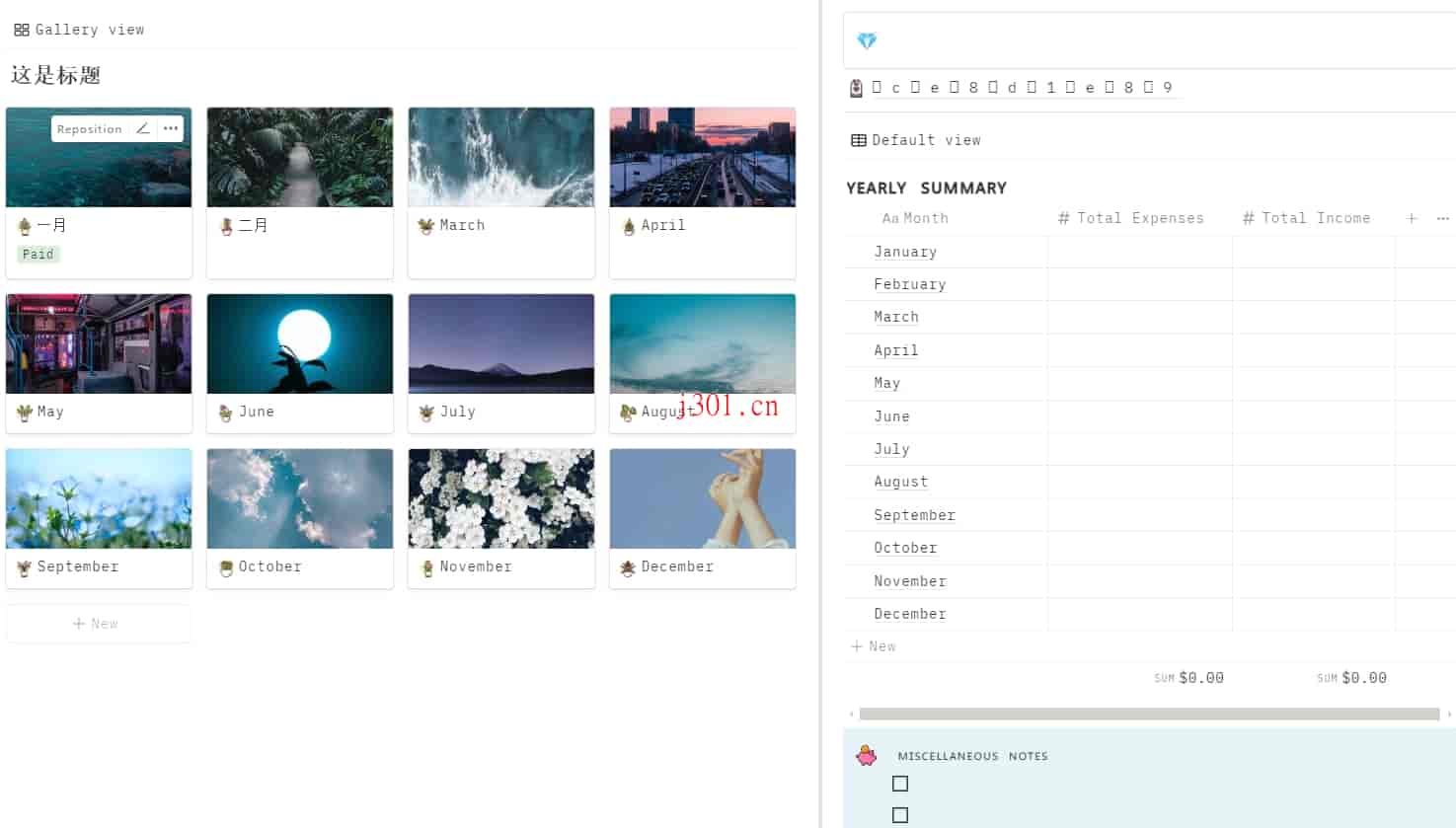 dev_notion_individual_18_2