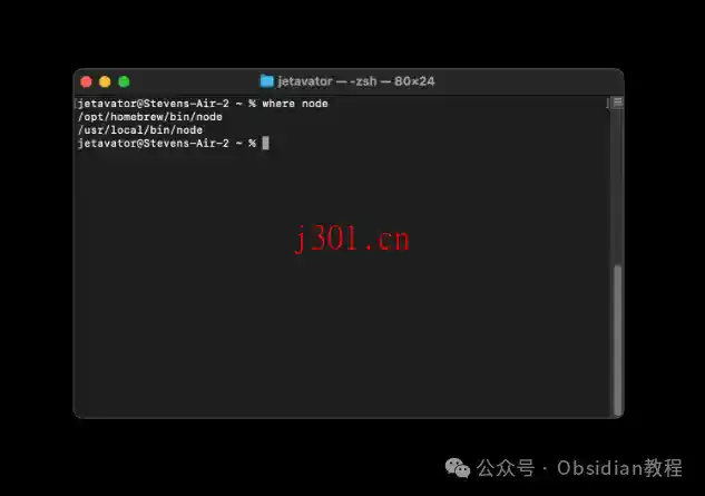dev_obsidian_execute_code_4
