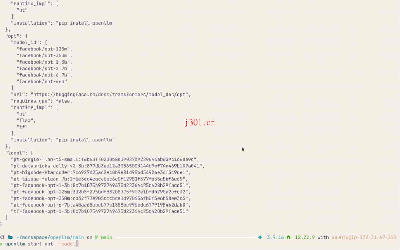 github_ai_big_model_openllm_1