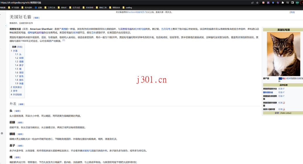 github_ai_tool_open_chat_video_editor_4