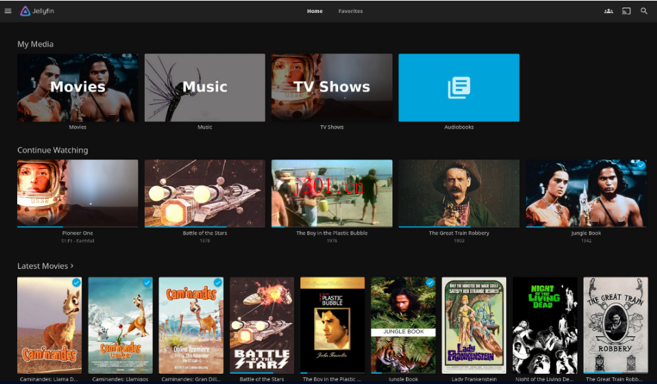 github_case_jellyfin_3