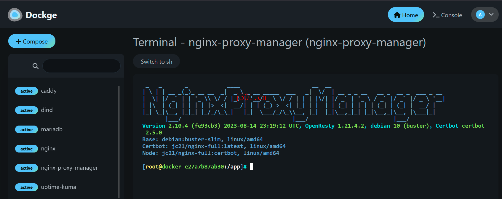 github_practical_dockge_3