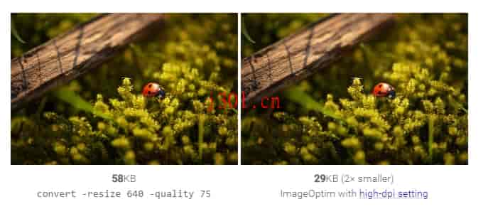 github_practical_imageoptim_6