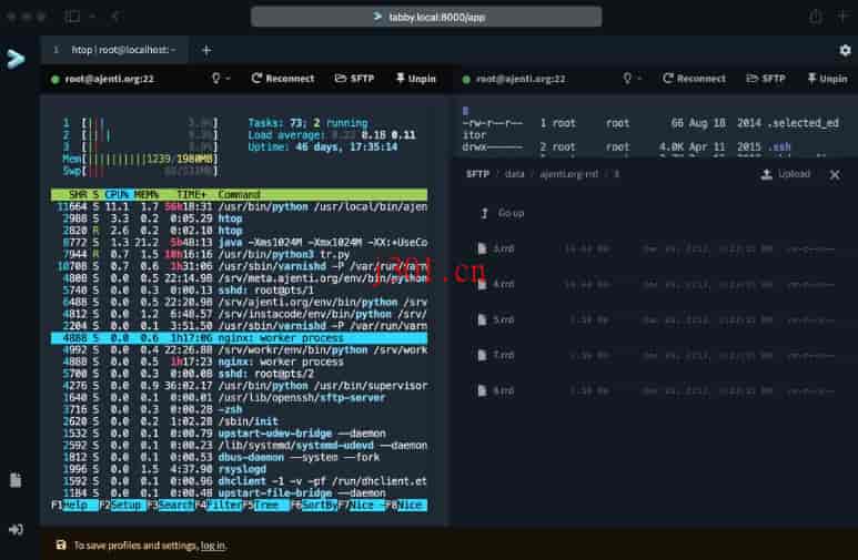 github_practical_tabby_web_1