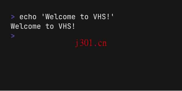 github_practical_vhs_3