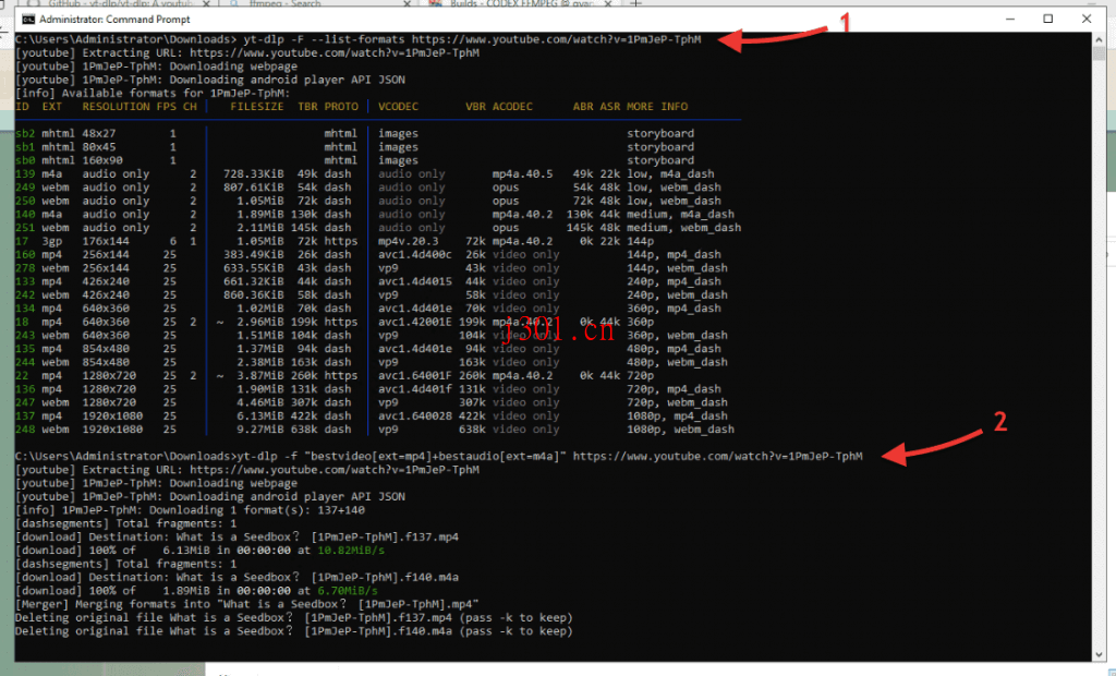 github_practical_yt_dlp_3