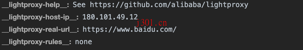intro_LightProxy_3