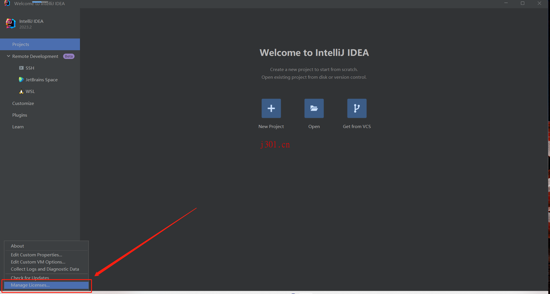 openManageLicenses.png